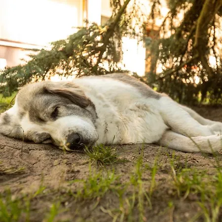 Am Wassergrundstueck