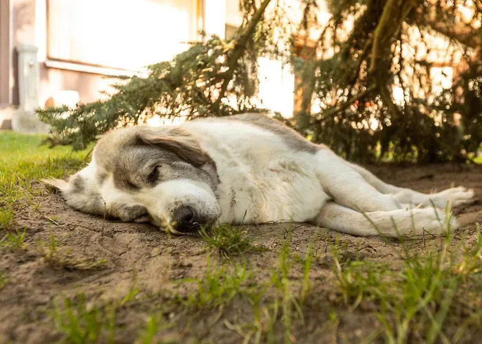 Am Wassergrundstueck